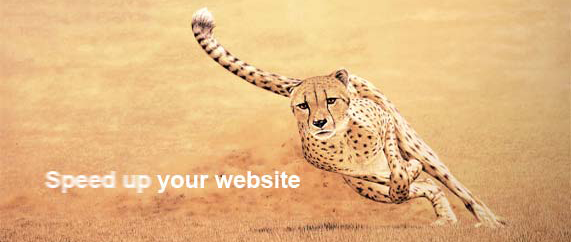 snellere-website-7780658
