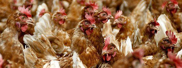 werkomgeving-9115359